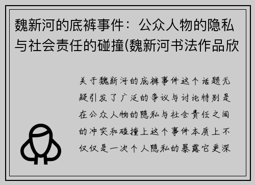 魏新河的底裤事件：公众人物的隐私与社会责任的碰撞(魏新河书法作品欣赏)