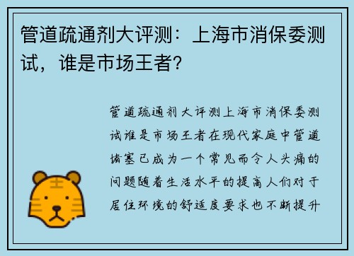 管道疏通剂大评测：上海市消保委测试，谁是市场王者？